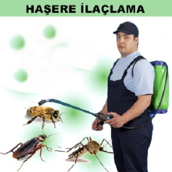 Buharkent Böcek İlaçlama